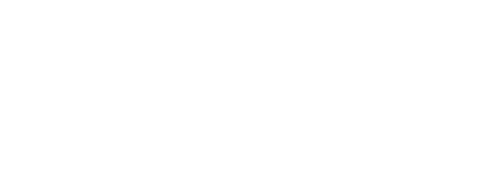 S8 Gawis Logo